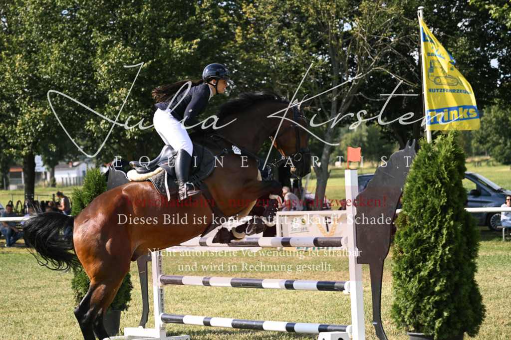 DSC_1172 | Pferde- und Turnierfotografie in Westsachsen. Pferdeportraits, Auftragszeichnungen und intuitive Kunst.