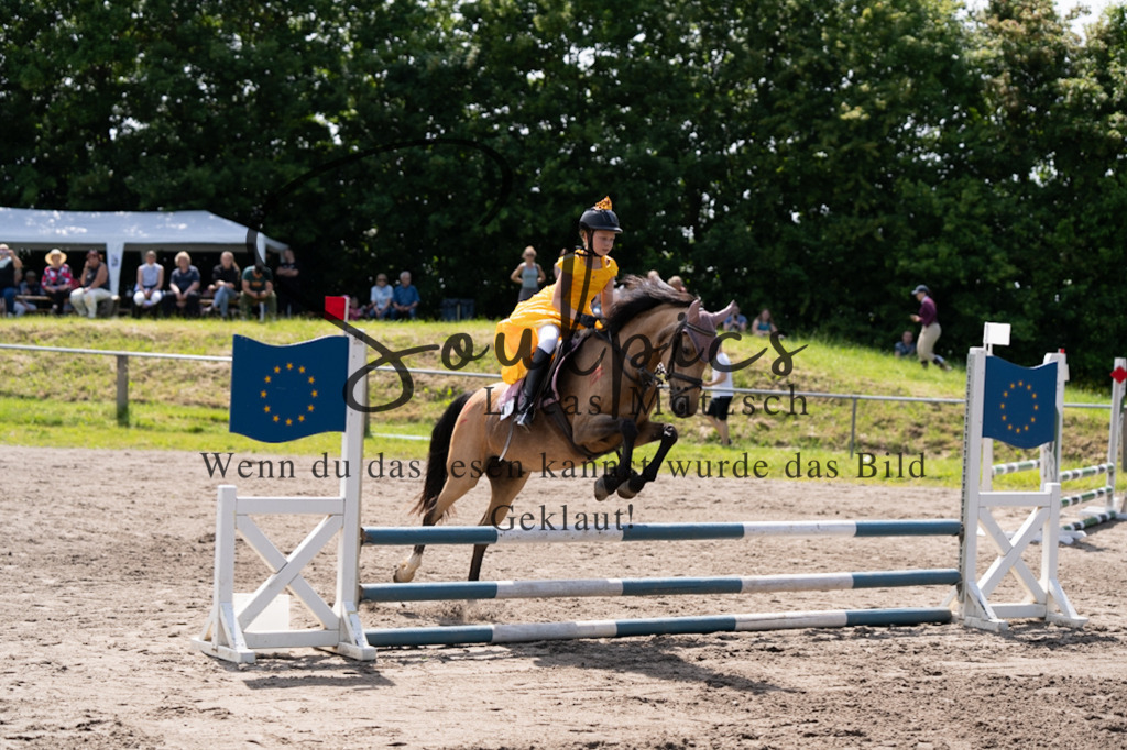 A7V04575 | Pferdefotograf