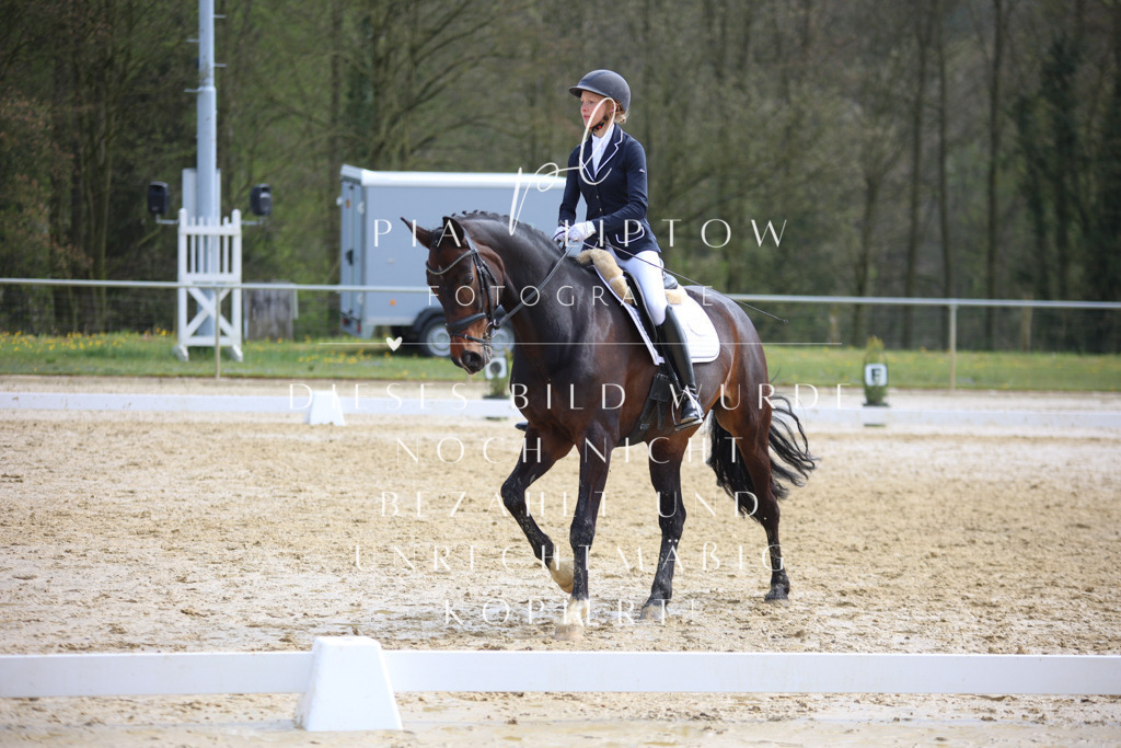 IMGT4957 | pl-fotografie