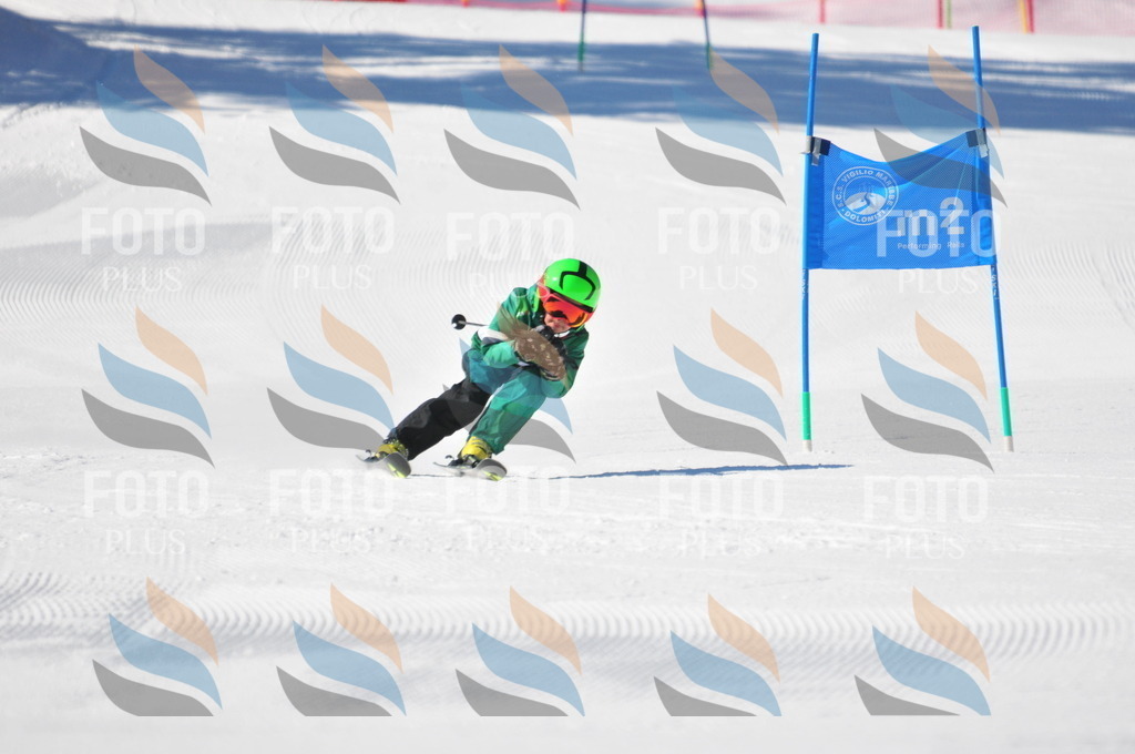 C2940 | holidayphoto