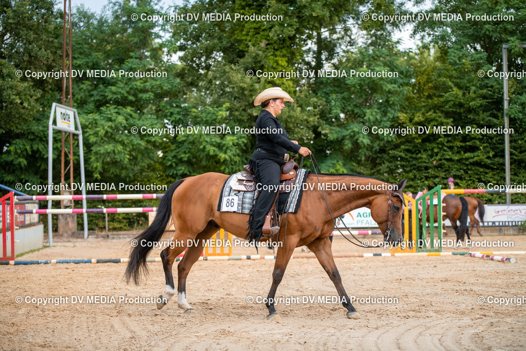 ZS2_7495 | dv-media-shop - Realisiert mit Pictrs.com