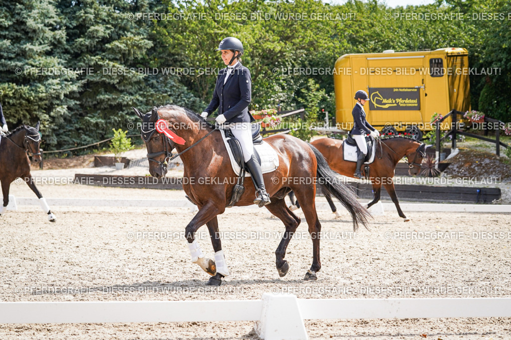 DSC02379 | Pferdegrafie