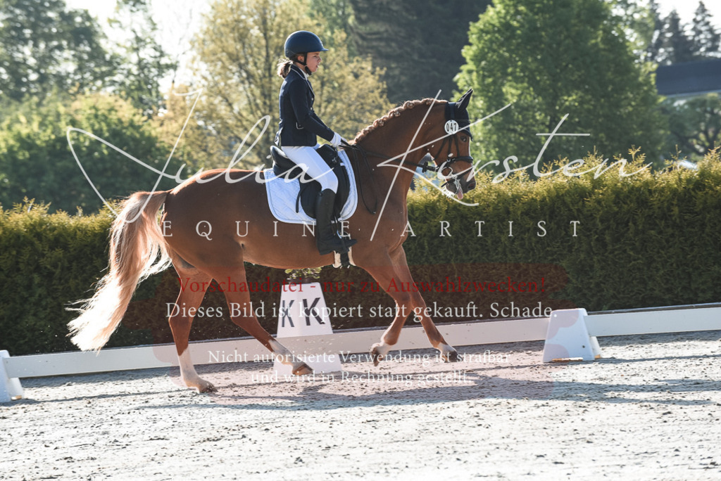 20230518_JK-Röhrsdorf-09-0262 | Pferde- und Turnierfotografie in Westsachsen. Pferdeportraits, Auftragszeichnungen und intuitive Kunst.