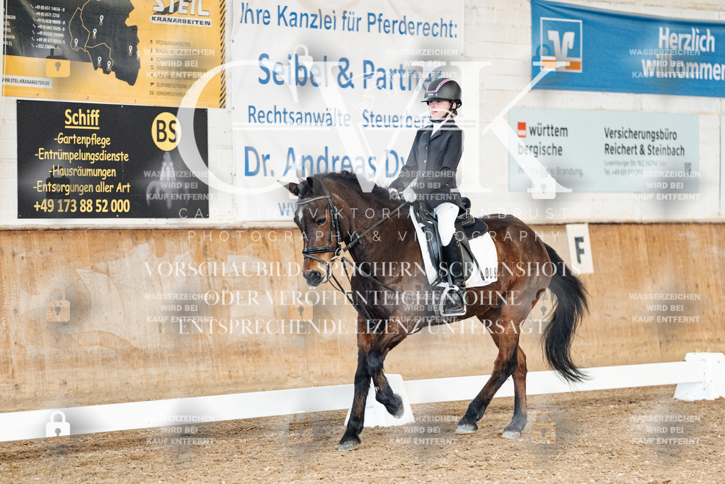 CK900541 | Turnierfotografie Pferdefotografie Trier Rheinland-Pfalz Pferdesport Reitsport Tierfotografie Sportfotografie Pferdevideo Pferdevideografie Equestrianvideography equestrianphotography  - Realized with Pictrs.com