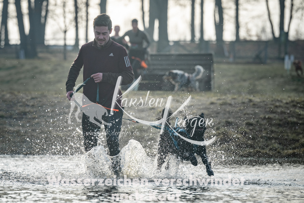 0843_ZZ97972 | kk-dogfotos