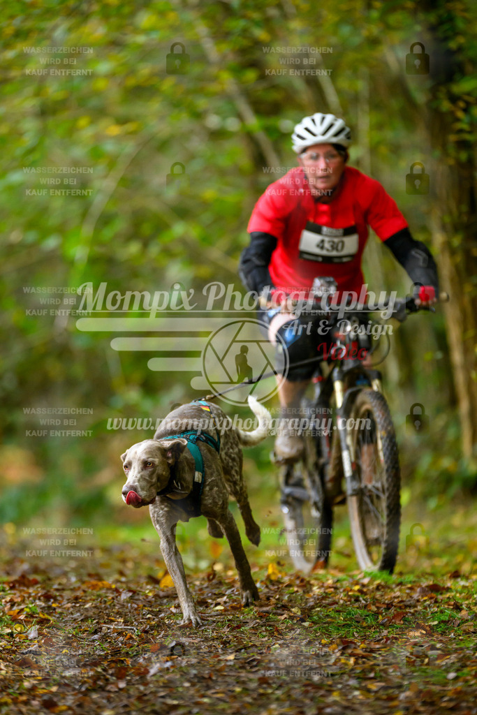 MompixPhotography_20TSB_E1_Bike-73 | PayLife