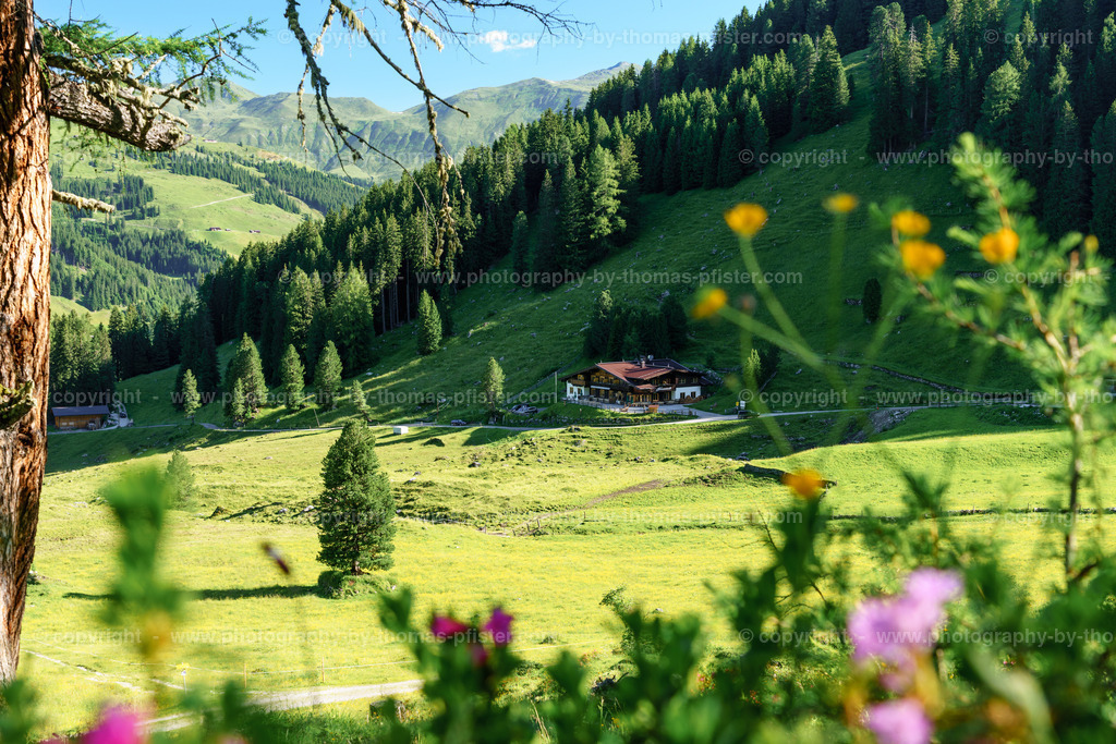 Loschboden Frühsommer copyright  Thomas Pfister-16 | PHOTOGRAPHY BY THOMAS PFISTER