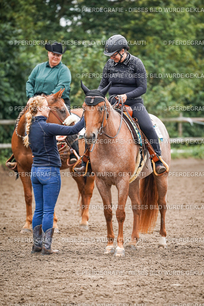 DSC01818 | Pferdegrafie