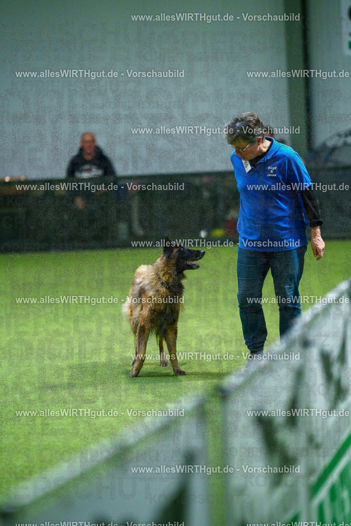 7R507846 | Professionelle Tierfotografie in Mönchengladbach von Daniel Wirth (allesWIRTHgut). Liebevolle & natürliche Bilder von Hunden & Katzen für unvergessliche Erinnerungen.