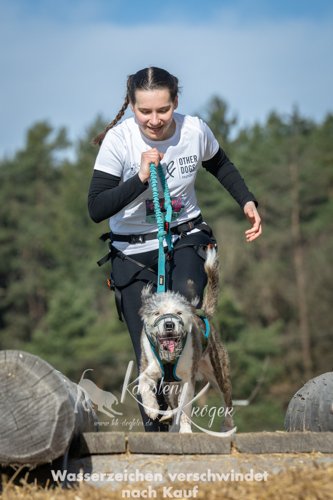 0946_ZZ95763 | kk-dogfotos