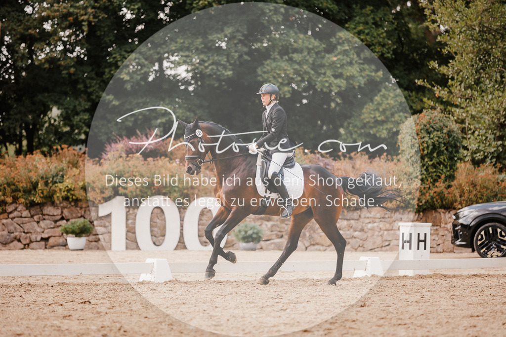 3I6A6246 | Stimmungsvolle Portraits und Reitsportfotografie im Ruhrgebiet und im Münsterland.

Pferdefotografie, Hundefotografie, Tierfotografie, Reportagen, Portraits von Tier und Mensch, Turnierfotografie in Bochum, Recklinghausen, Marl, Haltern am See, Dülmen.. - Realisiert mit Pictrs.com