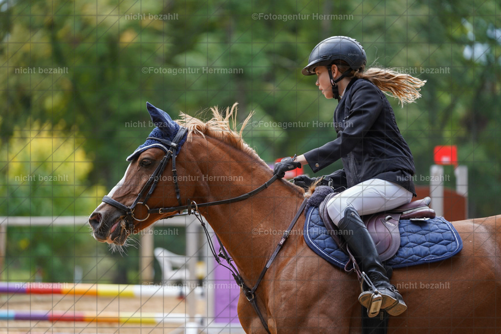 20231008-SN_01023 | Professionelle Turnier- und Reitsportfotografie - mit dem Finger am Auslöser. Pferdebilder aus dem Reitsport von den Turnierfotografen  Bayern , Pferdefotograf Bayern, Pferdeshooting Turnierbilder, Hochzeitsfotograf, Eventfotograf, Hochzeitsbilder