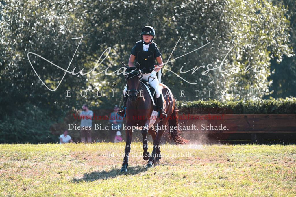 DSC_7863 | Pferde- und Turnierfotografie in Westsachsen. Pferdeportraits, Auftragszeichnungen und intuitive Kunst.