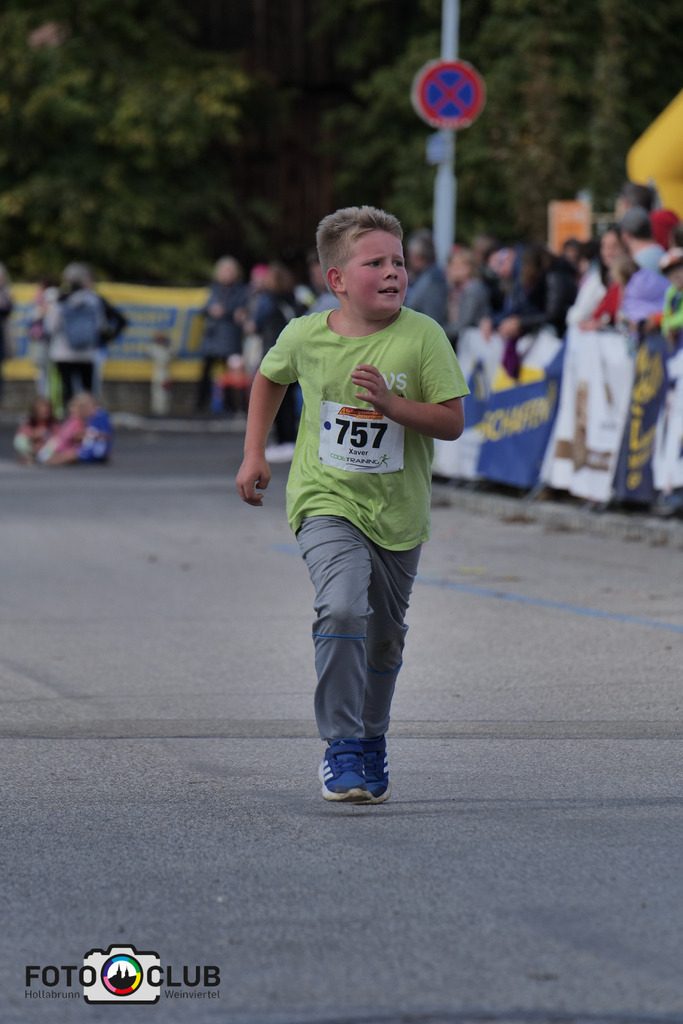 P1039354 | Foto Buchgraber