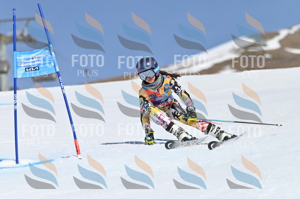 BGV_8979 | holidayphoto