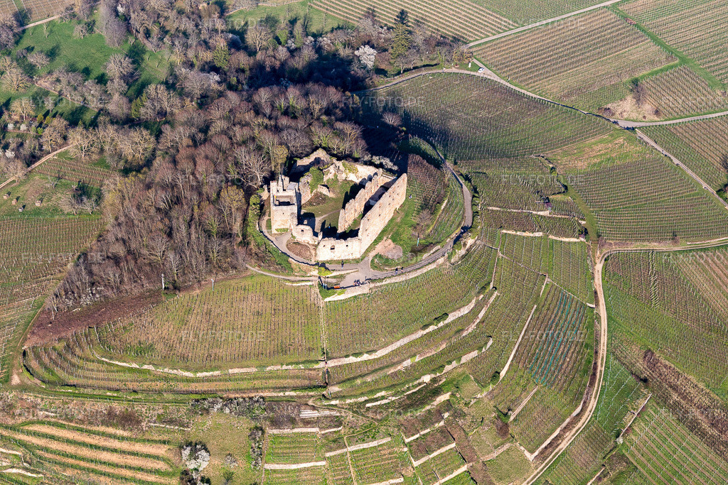 Luftbild: Herbstliche Farben im Weinberg an der Burg Staufen und Strukturen der Feldwege in den Reben für den Jahrhundertwein 2018 Badischer Wein in Staufen im Breisgau im Bundesland Baden-Württemberg in Deutschland. Foto: IMG_112979.jpg vom 22.03.2019 durch Werner Riehm/FLY-FOTO.de