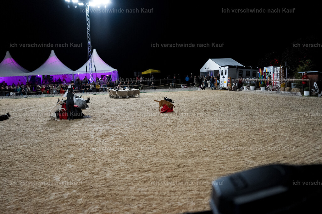 Gala-552 | working equitationturnier fotograf videograf stoibphotography marixx film working equitation deutschland reitsport turnierfotografie eventfotografie equestrian events