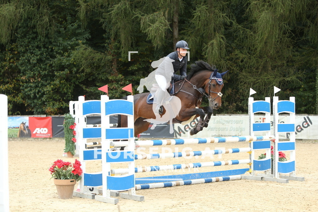 DL2Q6170 | Willkommen bei Brunnmayr - Design & Fotografie – Ihrem Spezialisten für Reitturniere und Pferdeveranstaltungen in Oberösterreich, Salzburg und Bayern! Seit über 17 Jahren sind wir leidenschaftlich dabei.