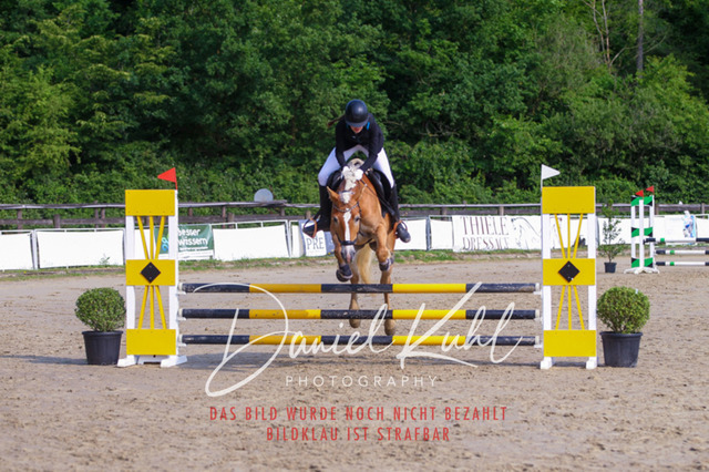 DKP41111 | Turniersportfotografie; Pferdefotografie; Dressurfotografie