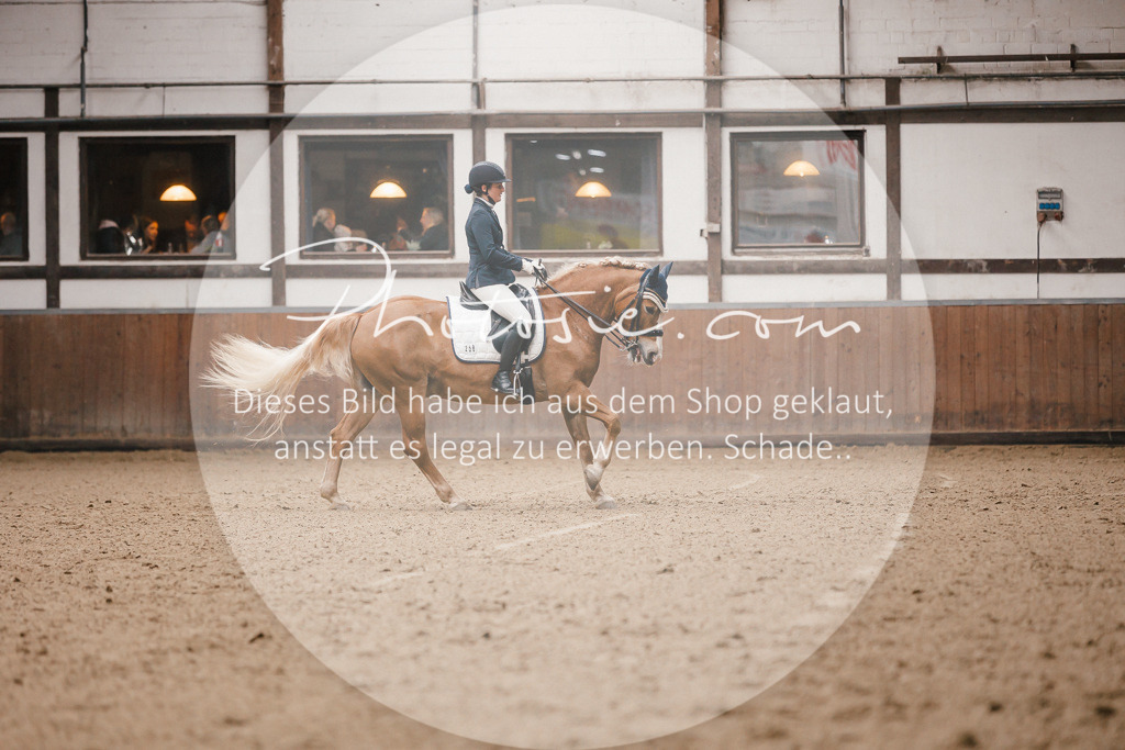 3I6A8448 | Stimmungsvolle Portraits und Reitsportfotografie im Ruhrgebiet und im Münsterland.

Pferdefotografie, Hundefotografie, Tierfotografie, Reportagen, Portraits von Tier und Mensch, Turnierfotografie in Bochum, Recklinghausen, Marl, Haltern am See, Dülmen.. - Realisiert mit Pictrs.com