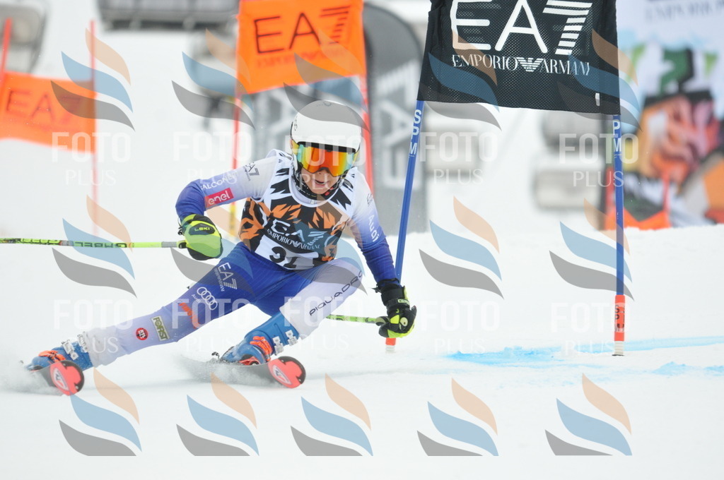 DSC_7990 | holidayphoto