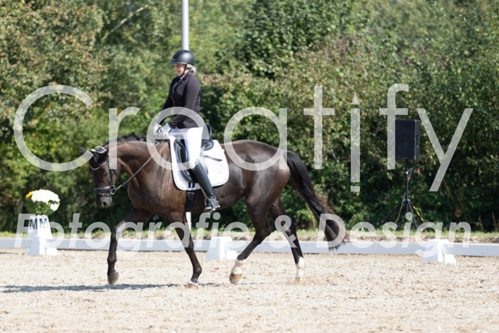 IMG_4064 | Creatify Fotografie