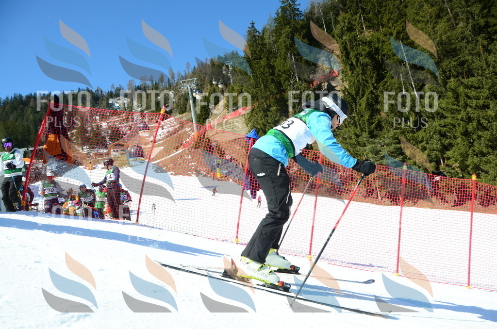 C6547 | holidayphoto