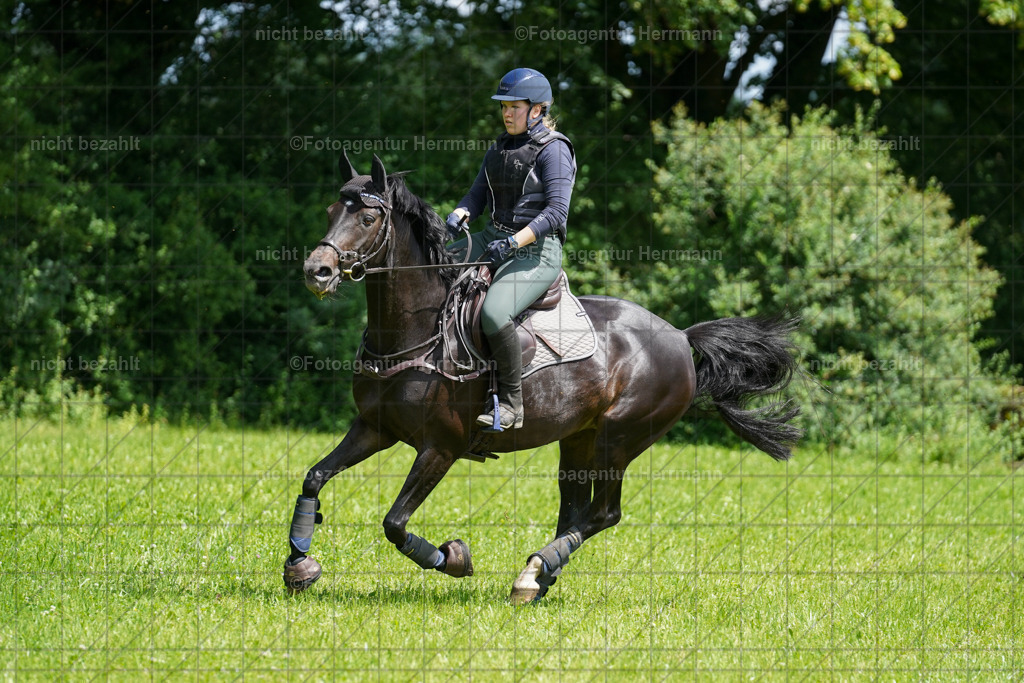 20240622-FAH06784 | Turnierfotografen Bayern, Reitsportbilder aus dem Geländekurs mit Felix Etzel auf dem Gut Waitzacker 2024