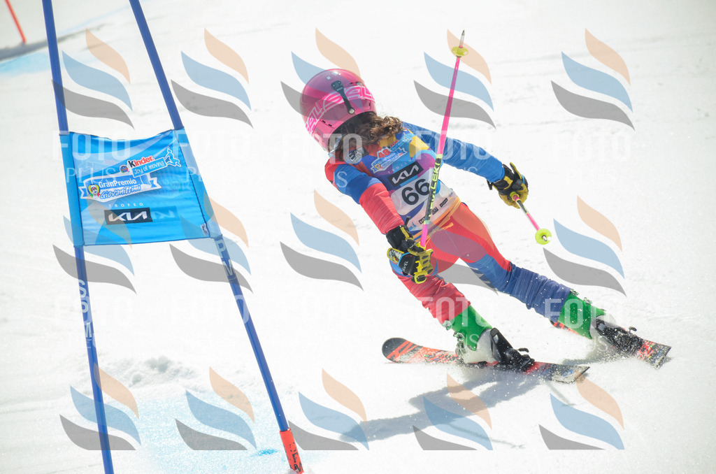 _ELE5394 | holidayphoto