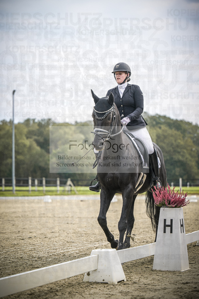 DOS_B514 | Entdecke hochwertige Reitturnierfotos von Foto Oger. Professionell, emotional und authentisch – jetzt Lieblingsmomente im Shop bestellen.Deutschlandweite Turnierfotografie. - Realisiert mit Pictrs.com