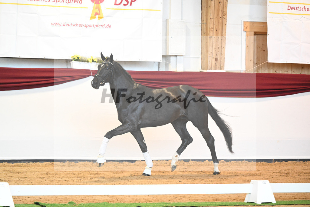 Kat-Nr. 22 v. Don Juan de Hus_Mueller_66220692 | hf-fotografie - Realizzato con Pictrs.com