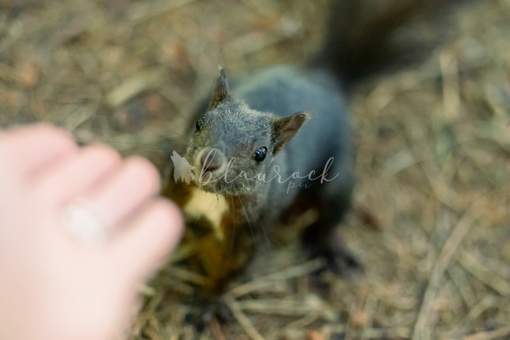 2J4A2615-2 | Sportbilder, Sportfotograf, Hochzeits- und Eventfotografin, Flugshows, Portraits und Tiershooting, Aviation, Downhill, Nationalleague, Swissleague, International