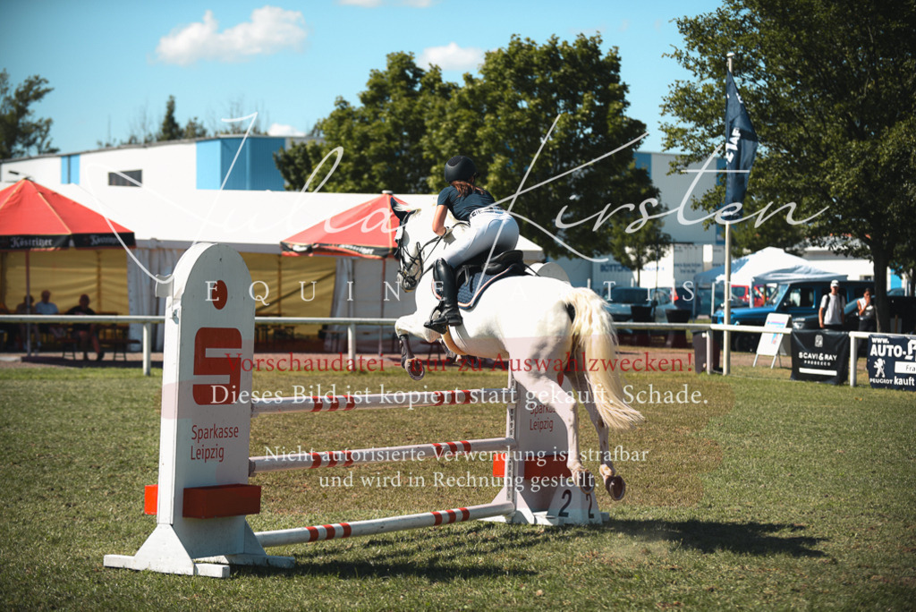 DSC_7259 | Pferde- und Turnierfotografie in Westsachsen. Pferdeportraits, Auftragszeichnungen und intuitive Kunst.