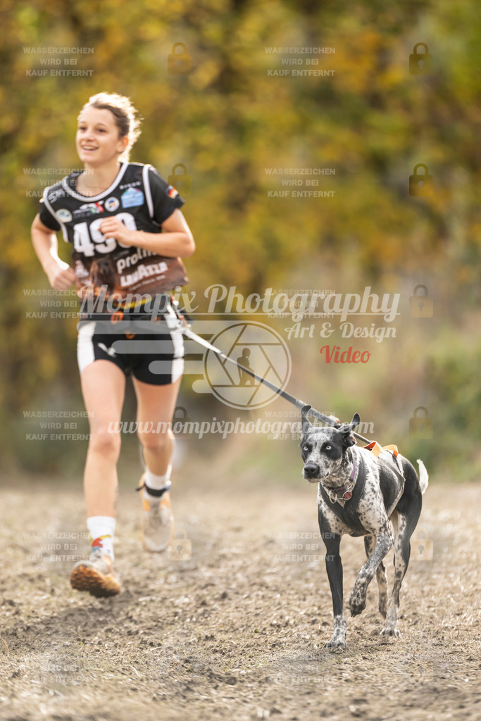 MompixPhotography_ICF_WC_2024_SA_Run_-519 | PayLife