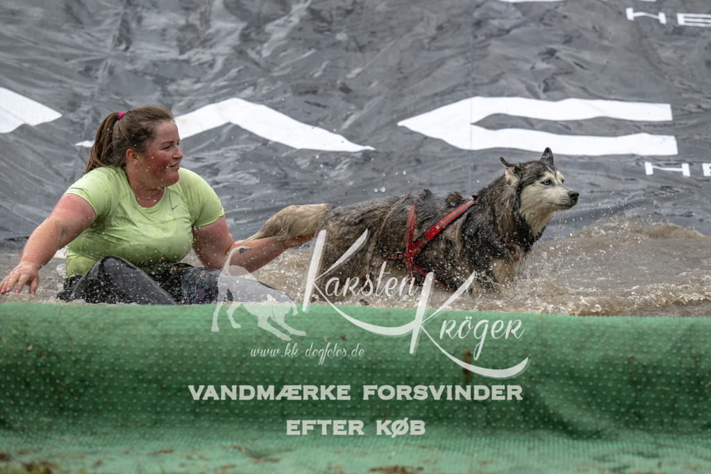 1558_ZZ91732 | kk-dogfotos