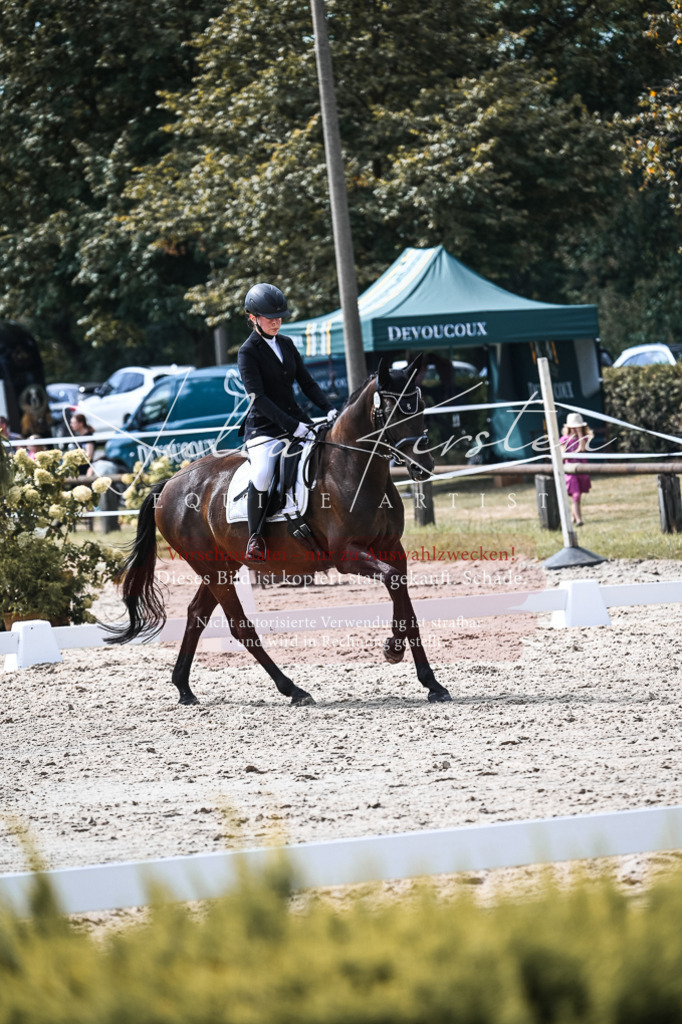 DSC_5261 | Pferde- und Turnierfotografie in Westsachsen. Pferdeportraits, Auftragszeichnungen und intuitive Kunst.