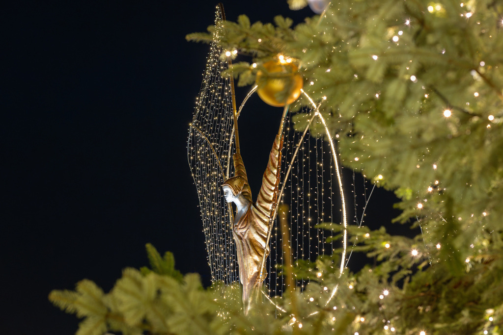 2024-12-15 Weihnachtsmarkt Ludwigsburg 032 | Schwotte Media - Realisiert mit Pictrs.com