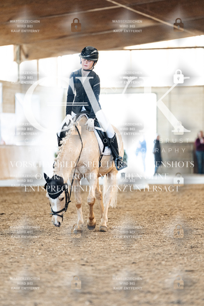 CK907586 | Turnierfotografie Pferdefotografie Trier Rheinland-Pfalz Pferdesport Reitsport Tierfotografie Sportfotografie Pferdevideo Pferdevideografie Equestrianvideography equestrianphotography  - Realisiert mit Pictrs.com