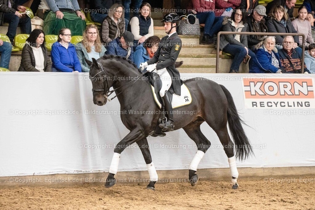 20260307_Hengstvorstellung-Marbach_0469 | equistock