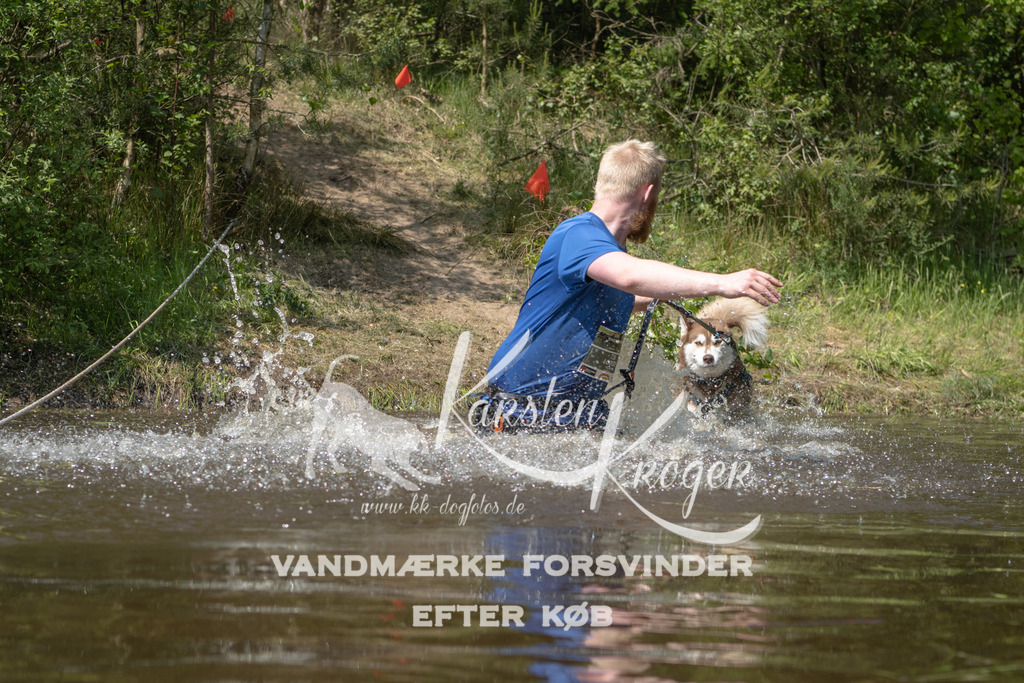 1306DKK993207 | kk-dogfotos