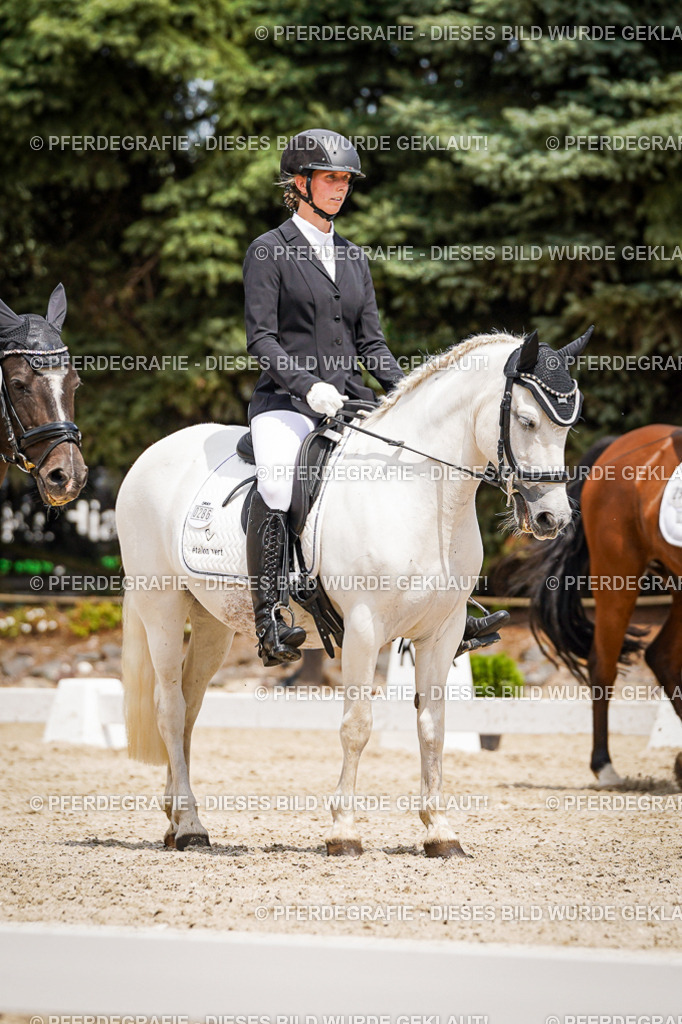 DSC03756 | Pferdegrafie