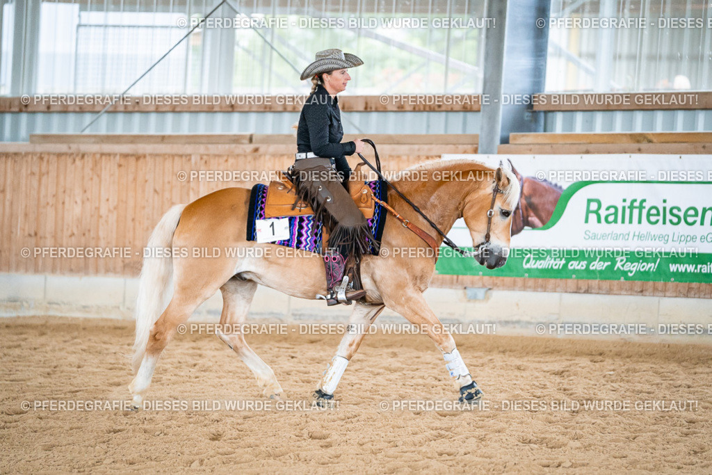 DSC07488 | Pferdegrafie