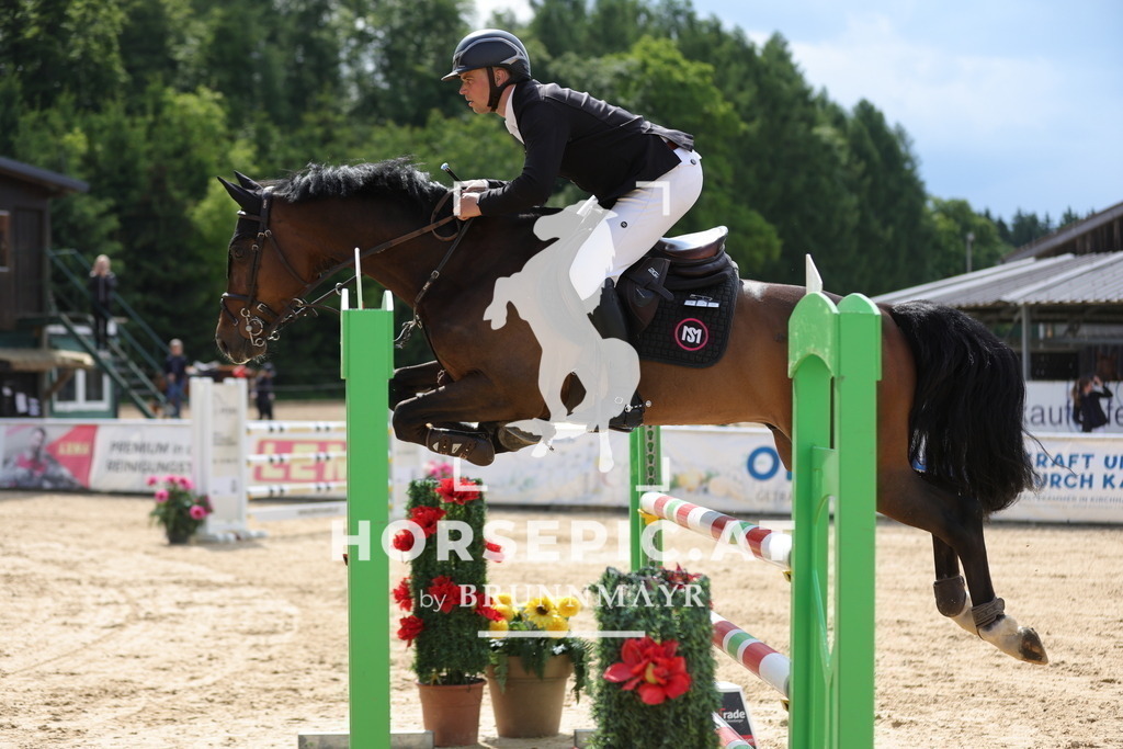 0P6A2749 | Willkommen bei Brunnmayr - Design & Fotografie – Ihrem Spezialisten für Reitturniere und Pferdeveranstaltungen in Oberösterreich, Salzburg und Bayern! Seit über 17 Jahren sind wir leidenschaftlich dabei.