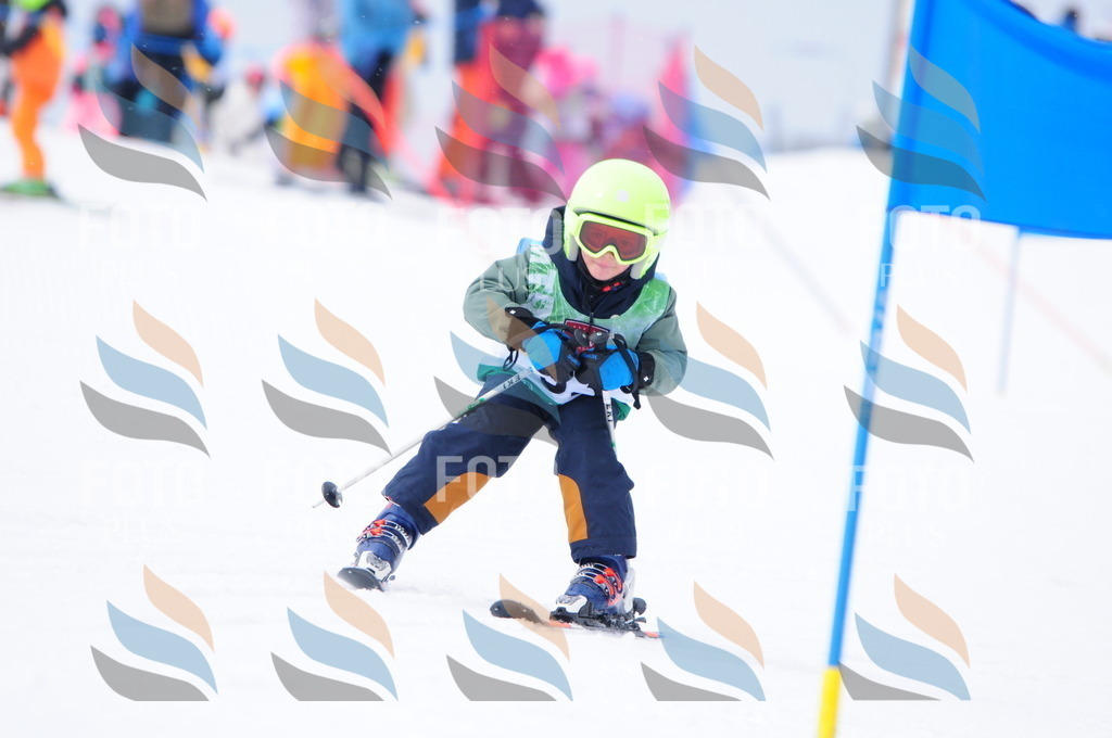 A3486 | holidayphoto