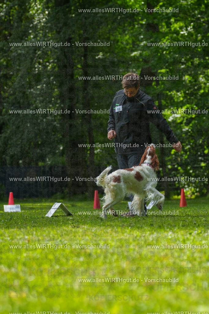 @allesWIRTHgut_Tierfotografie - www.allesWIRTHgut.de - 7R505746 | Professionelle Tierfotografie in Mönchengladbach von Daniel Wirth (allesWIRTHgut). Liebevolle & natürliche Bilder von Hunden & Katzen für unvergessliche Erinnerungen.