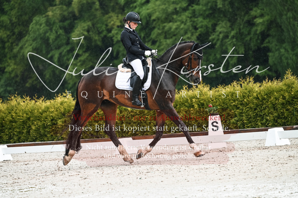 DSC_4149 | Pferde- und Turnierfotografie in Westsachsen. Pferdeportraits, Auftragszeichnungen und intuitive Kunst.