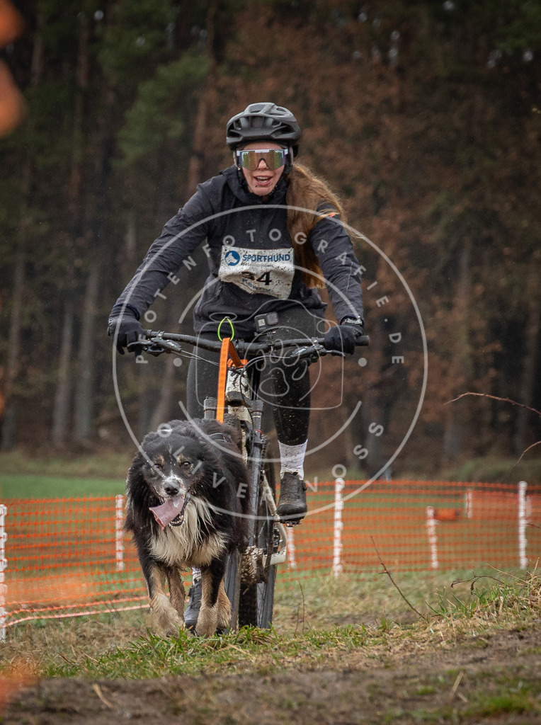 0L8A9005 | Hundefotografie, Tierfotograf, Pfotenfotografie, Fotoshooting Hund, Hunde Portrait, Hundesport, Hundeportraits, Heideshooting, Hunde, Sportfotograf, Hundefotograf, Turnierhundsport, THS,  - Realisiert mit Pictrs.com