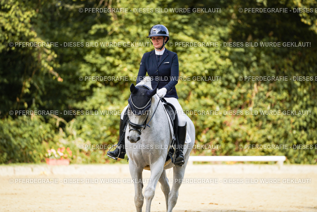 DSC02515 | Pferdegrafie