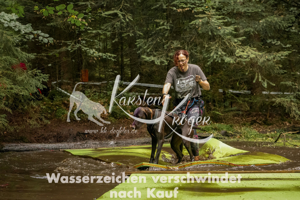 1211_ZZ93016-Bearbeitet | kk-dogfotos