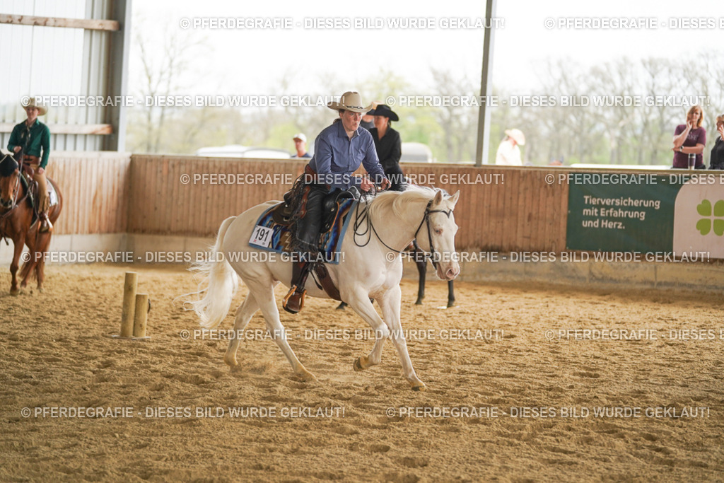 DSC04442 | Pferdegrafie